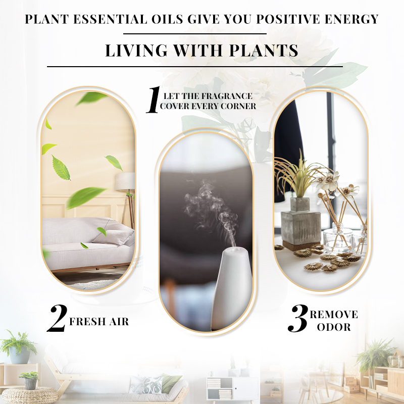 EVOKE OCCU 10mL Essential Oil, - Soap Making Ingredients 评论和价格